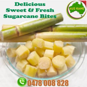 Chewable/Eating Cane Bites