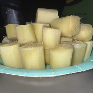 Chewable/Eating Cane Bites